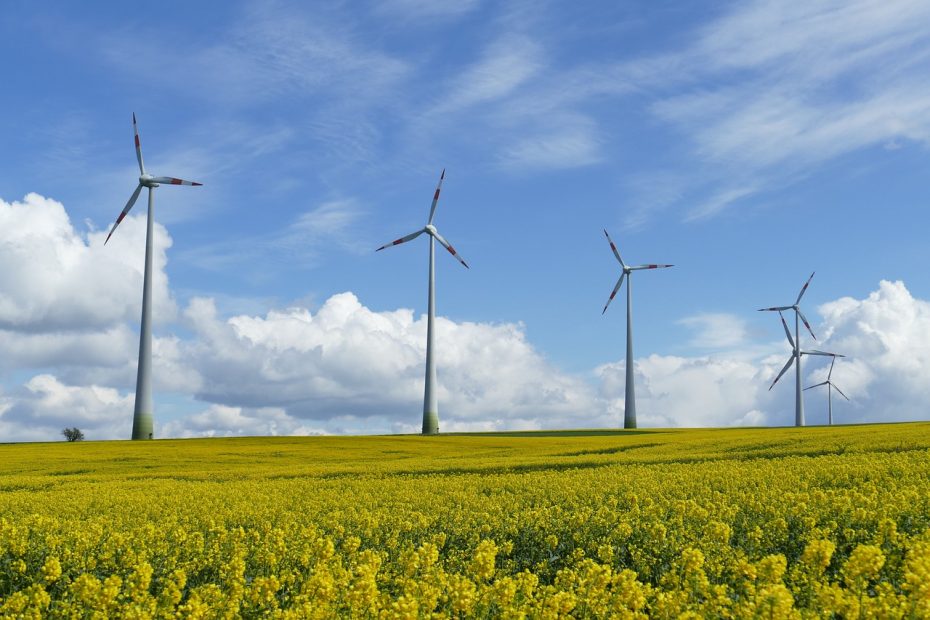 Le differenze chiave tra fotovoltaico ed eolico