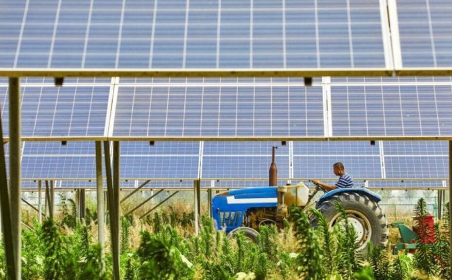 Agrivoltaico: la transizione ecologica passa anche per l'agricoltura