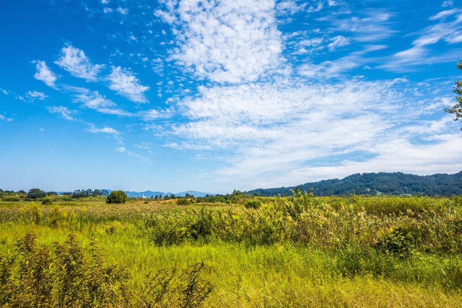 Legge europea sul ripristino degli ecosistemi