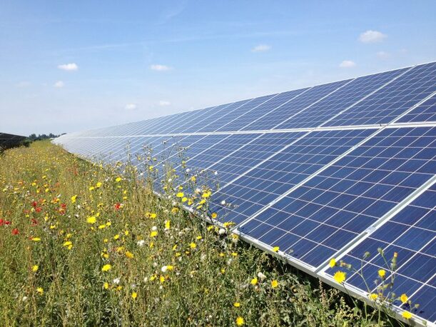 I vantaggi dell'agrivoltaico